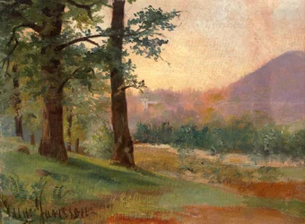 At the Forest